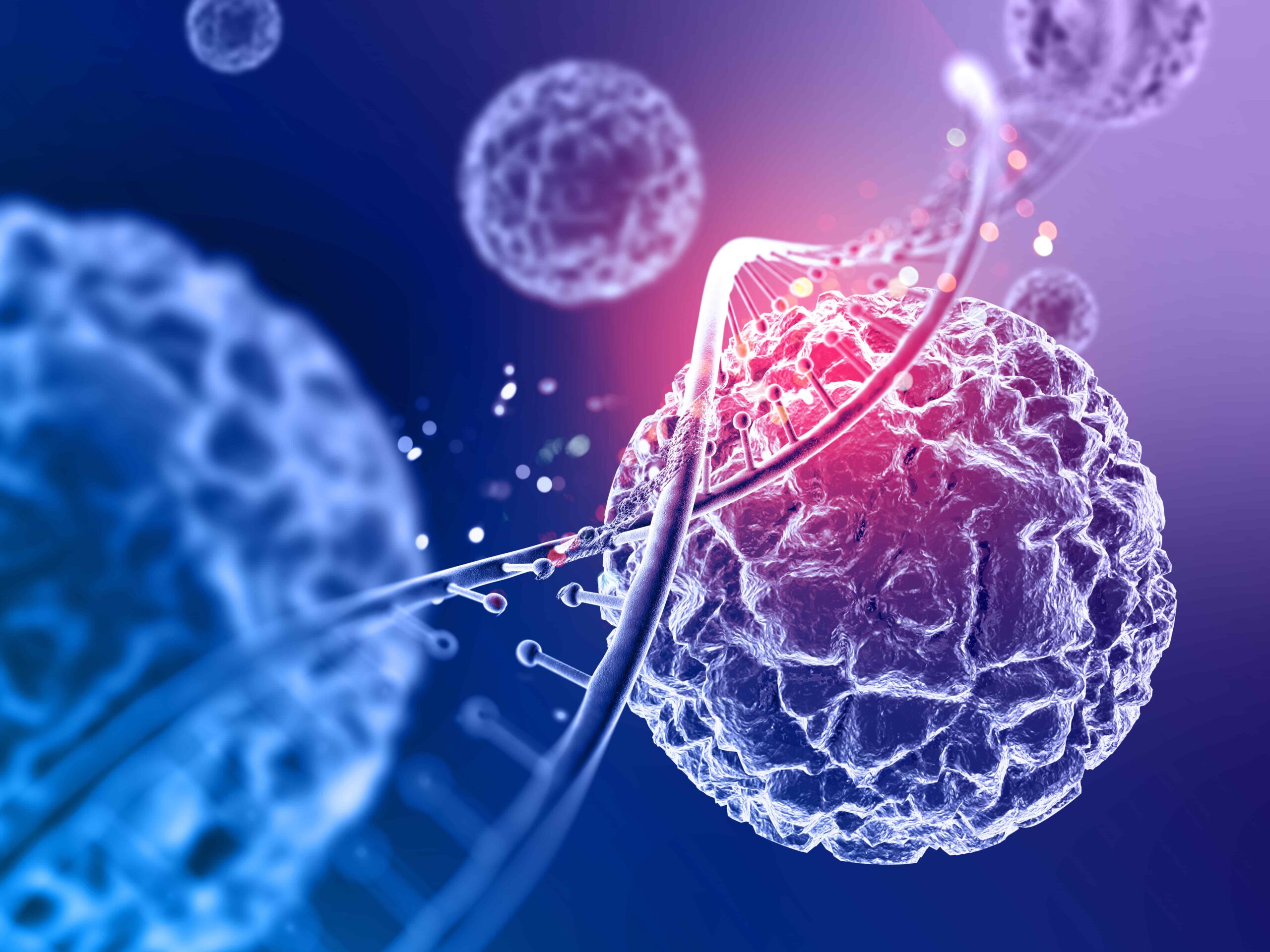 DNA e sistema imunológico.